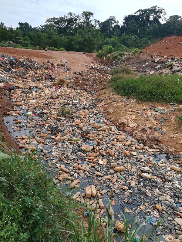 Imagem de Análise crítica do impacto nos meios de subsistência locais em quatro comunidades afectadas pela lixeira no cantão de Francisco de Orellana.