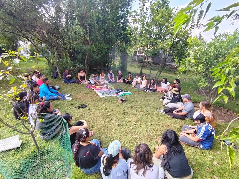 Imagem de First Knots: Enredos de co-criação
